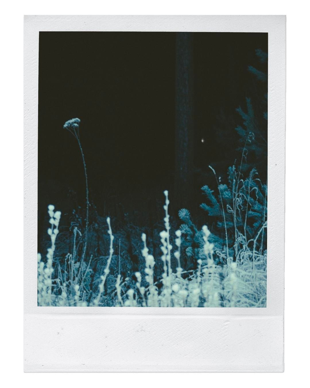 POLAROID DIARY. Маргарита Логай. Фотограф и режиссер в Санкт-Петербурге, Москве, Сочи