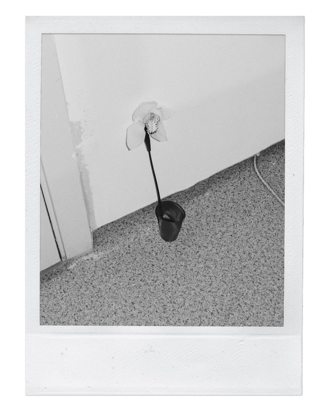 POLAROID DIARY. Маргарита Логай. Фотограф и режиссер в Санкт-Петербурге, Москве, Сочи