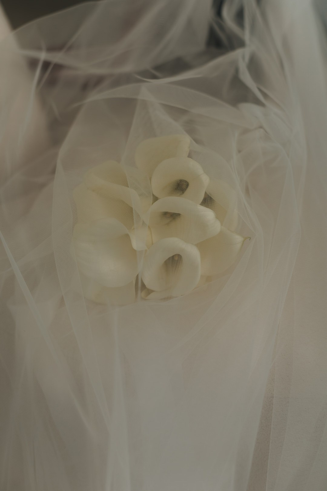 Пётр & Анастасия. Фотограф в Адыгее и Белореченске — Малина Михаил