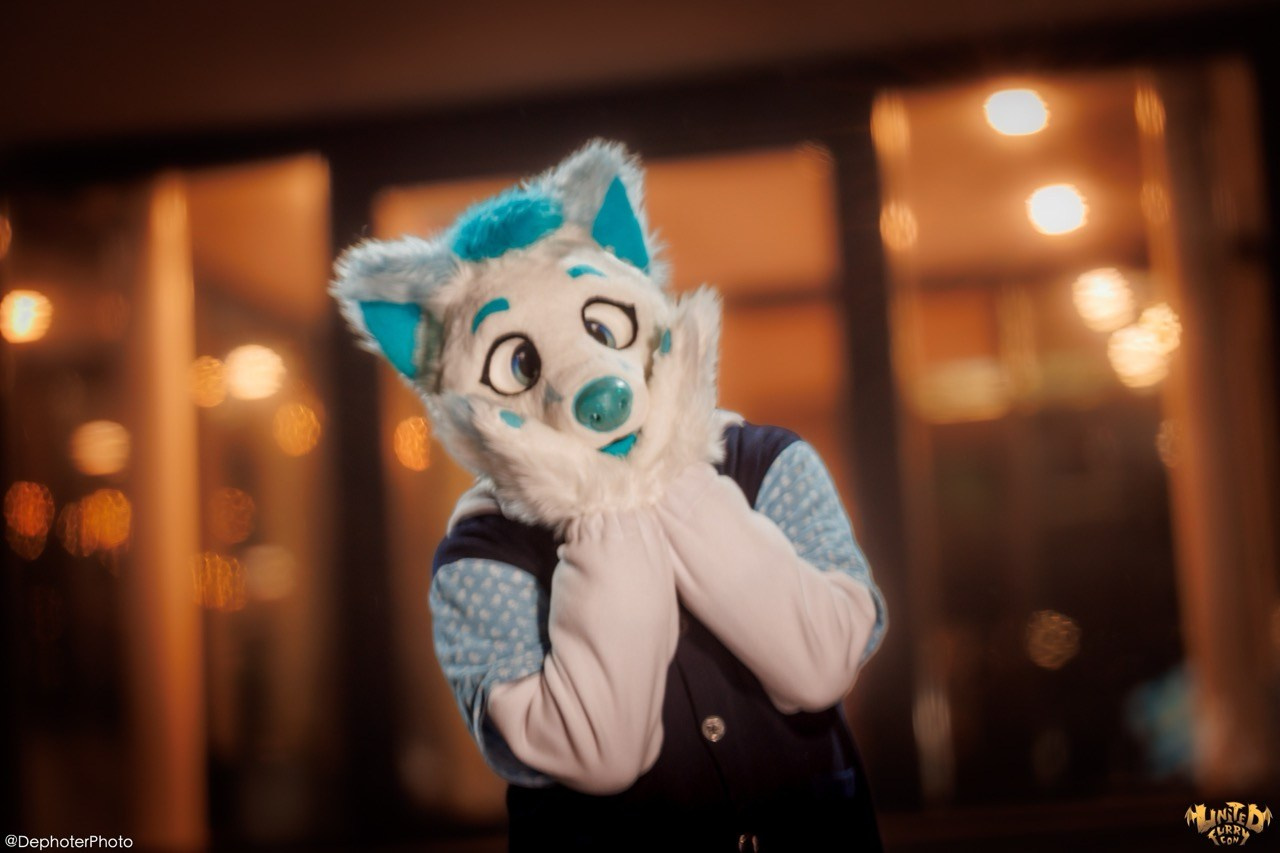 United Furry Convention 2026. Различные мероприятия и просто фотографии людей
