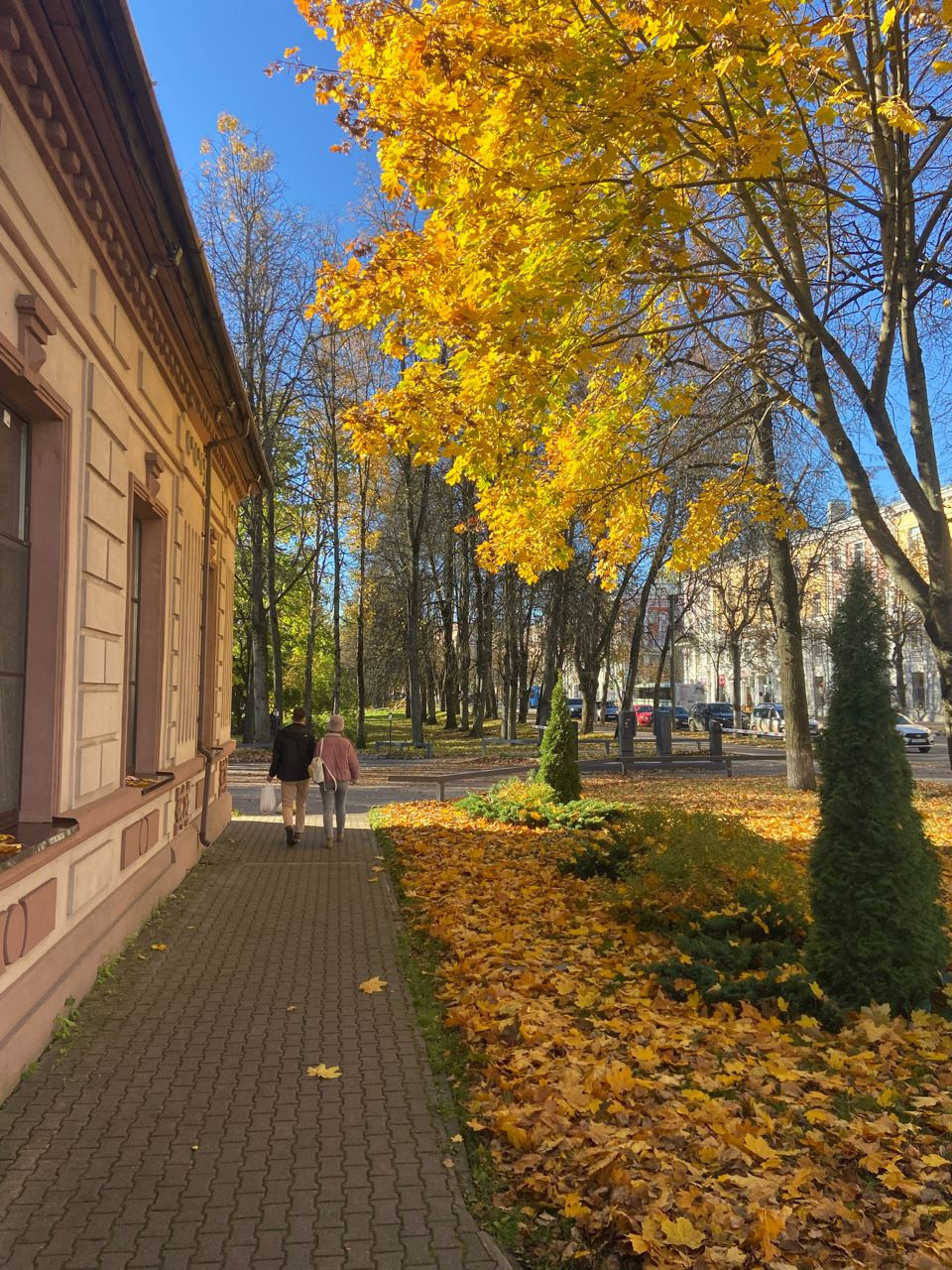 Курс по мобильной фотографии «ФОТОЛОВИСТА»