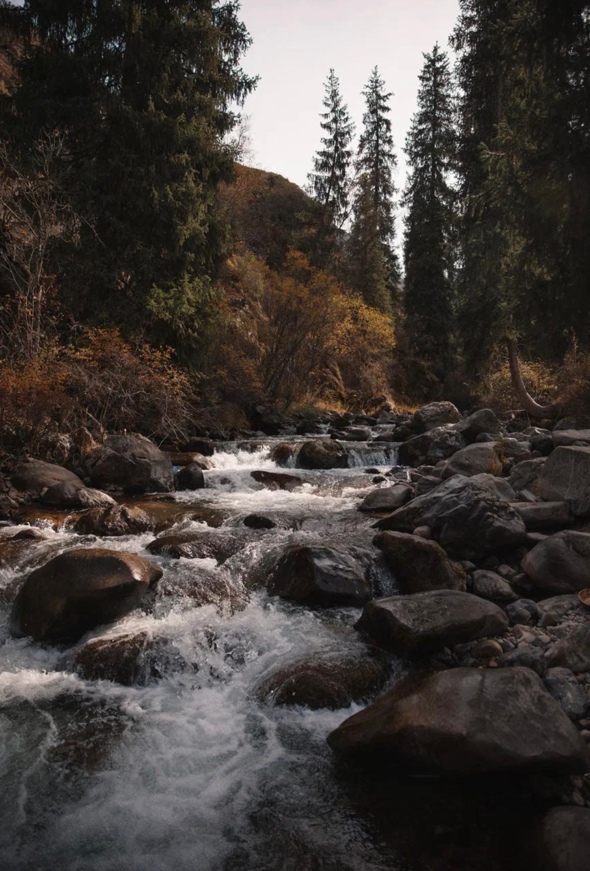 Курс по мобильной фотографии «ФОТОЛОВИСТА»