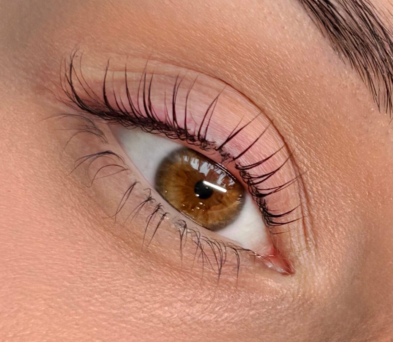 БРОВИ И РЕСНИЦЫ. Студия «Религия Красоты», метро Яхромская