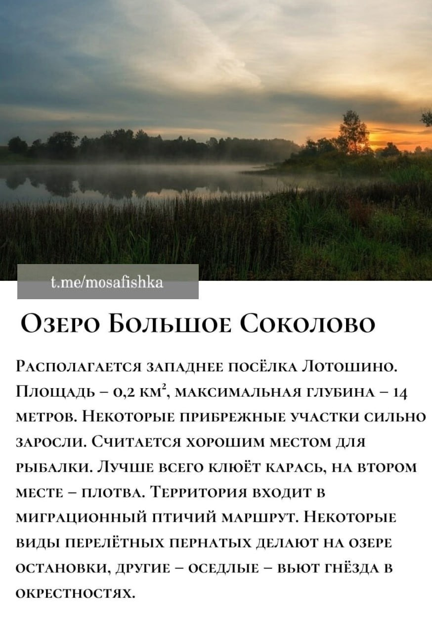 Локации для фотосессии в Москве