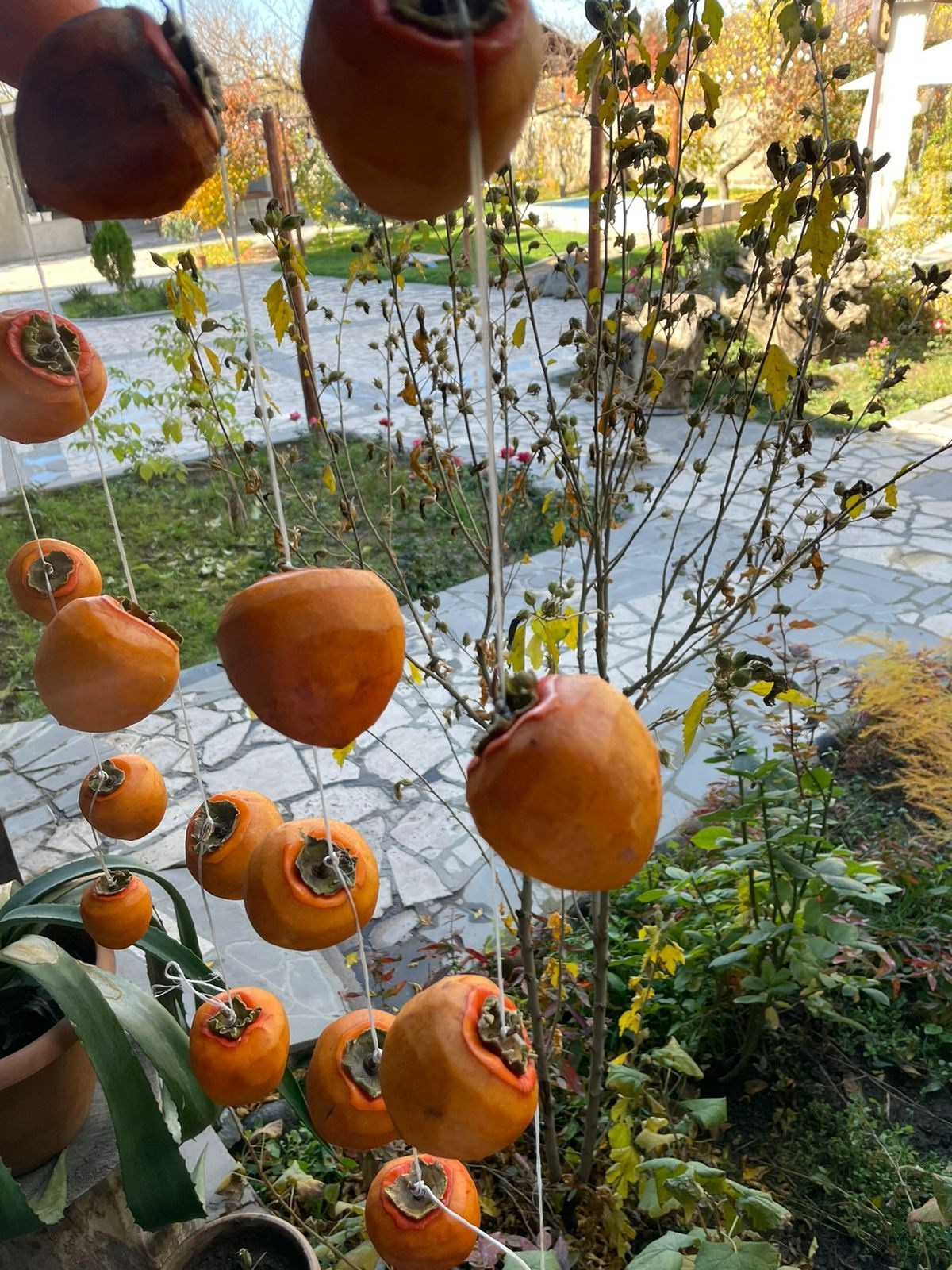 Армения | 16-19.11.2023. Галерея Фантим