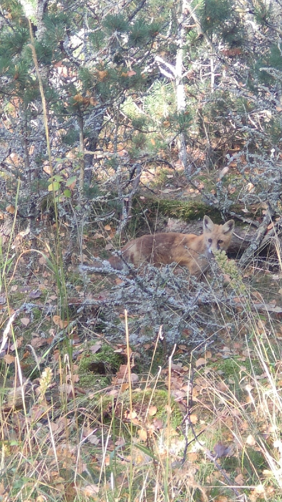 Калининград | 08-10.10.2021. Галерея Фантим