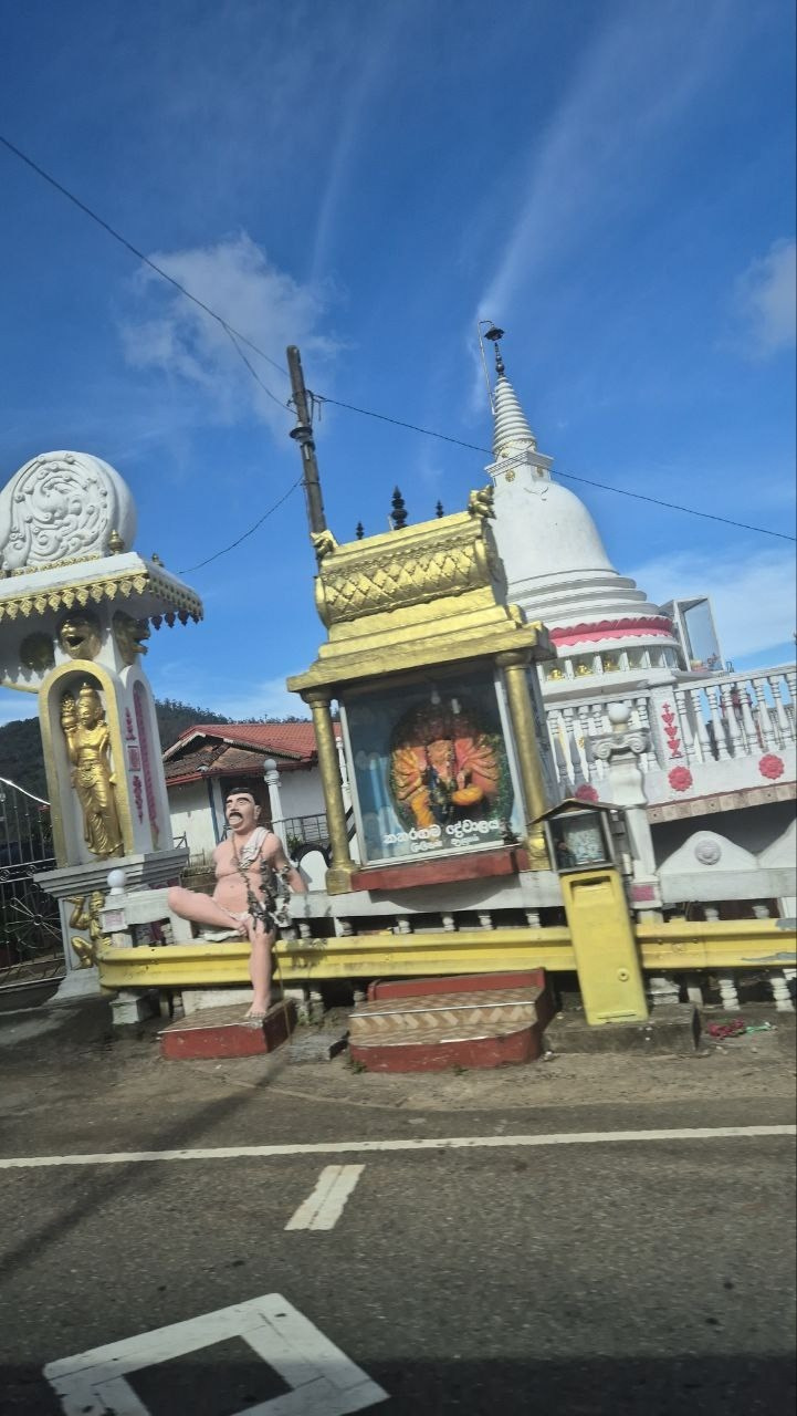 Шри-Ланка | 31.01 — 10.02.2025. Галерея Фантим