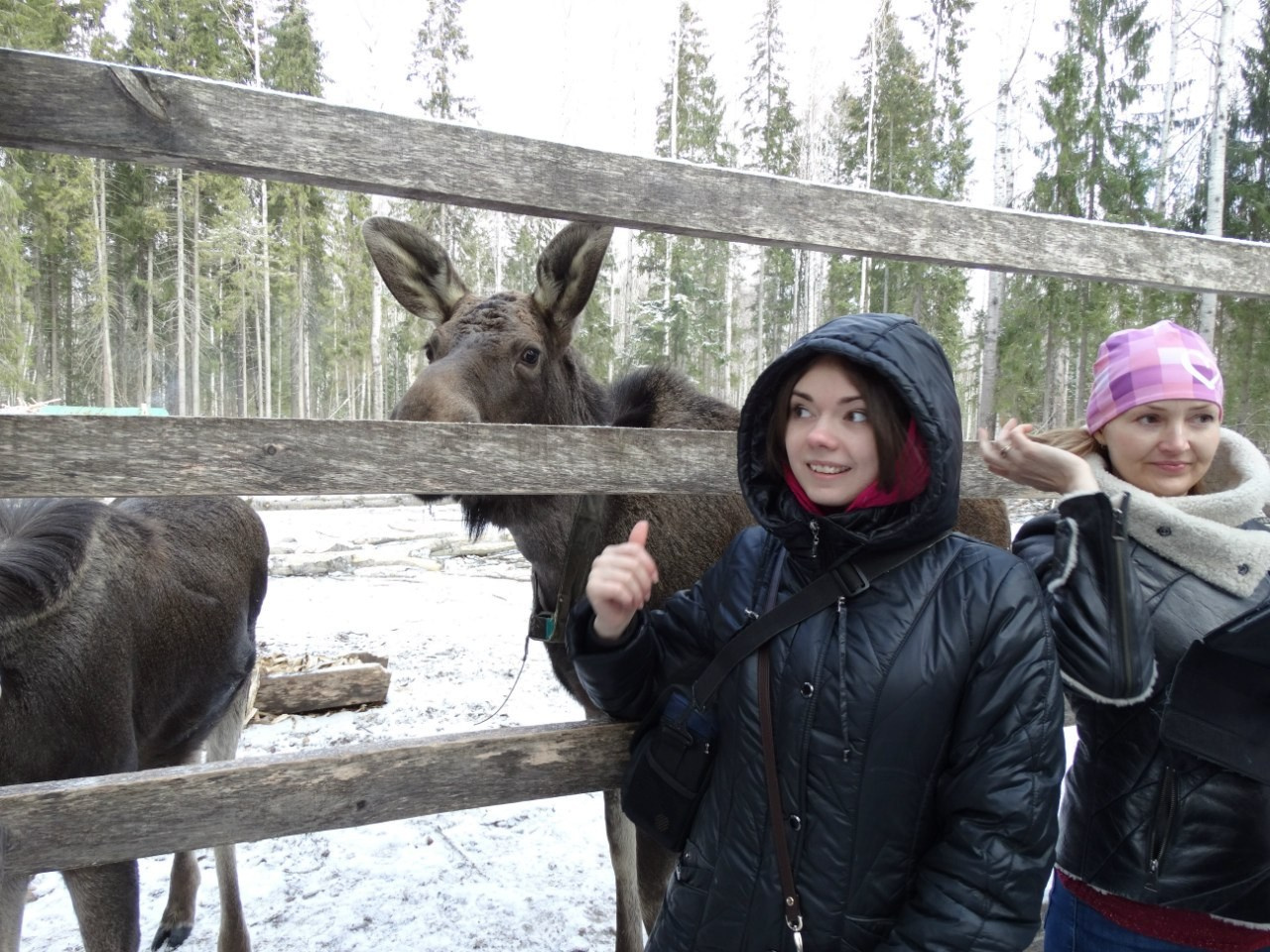 Кострома | 21-22.03.2015. Галерея Фантим