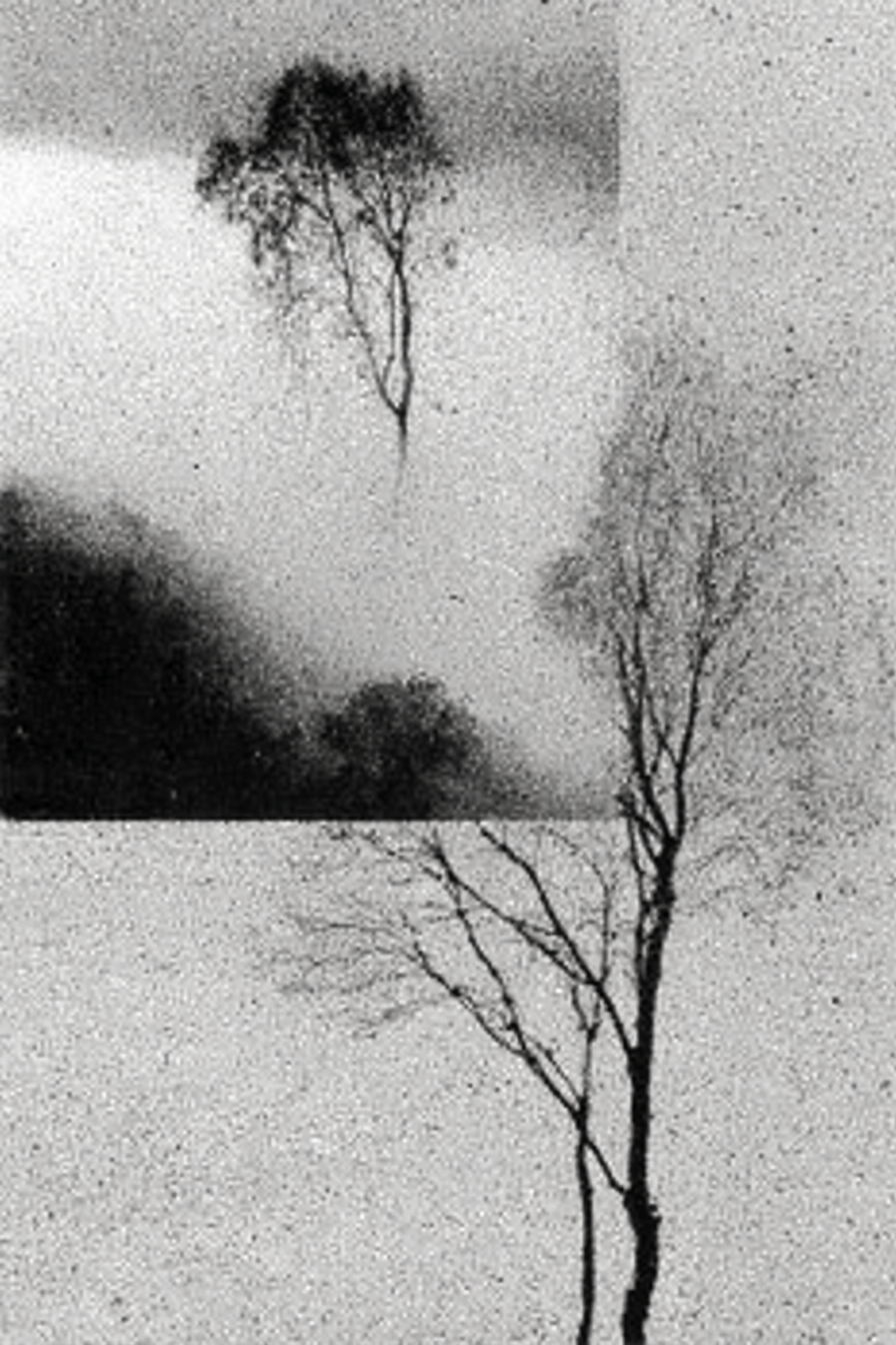 AI-фото. Yung_linn_ai