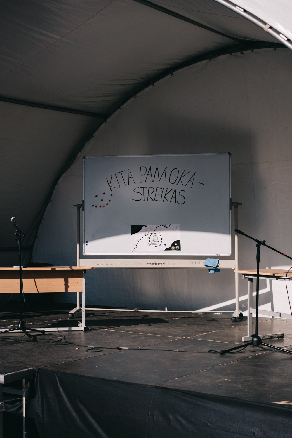 Mokytojų Streikas. Photographer in Vilnius