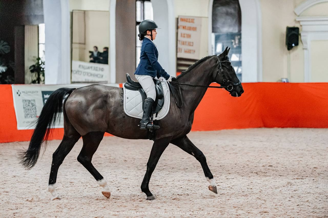 ОСЕННИЙ КУБОК КЦ «ИЗМАЙЛОВО», тренерская дуэль 5 этап. Куракина Дарья • Конный фотограф