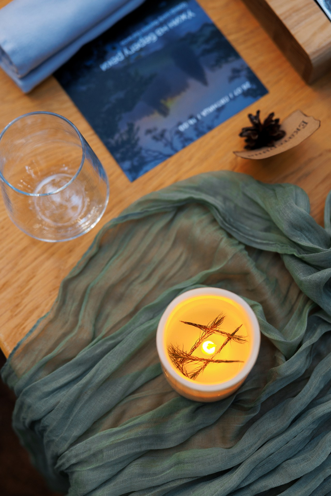 Forest Hill. Night2Day Санкт-Петербург