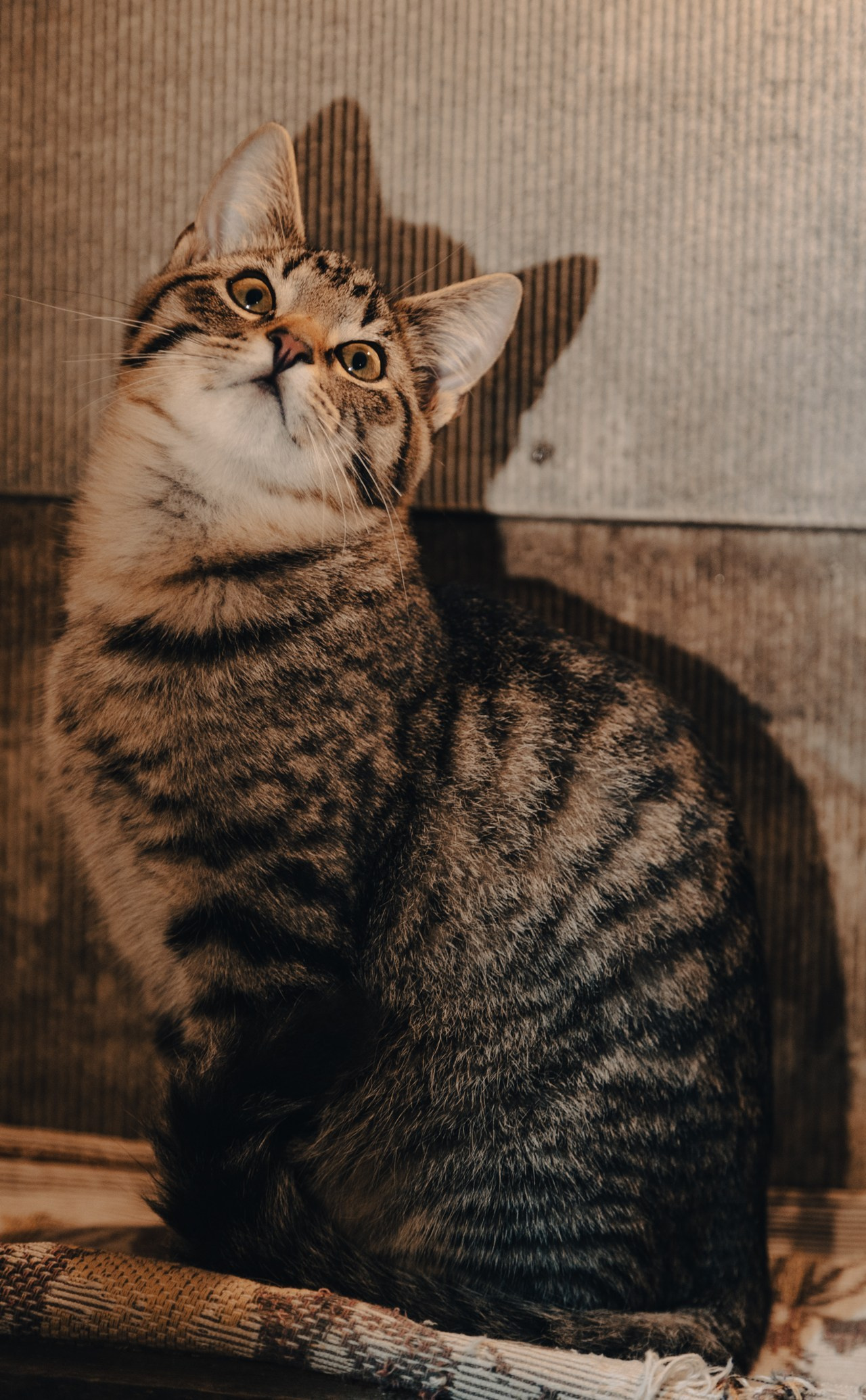 Отзывы. Фотограф Варвара Ермоленко