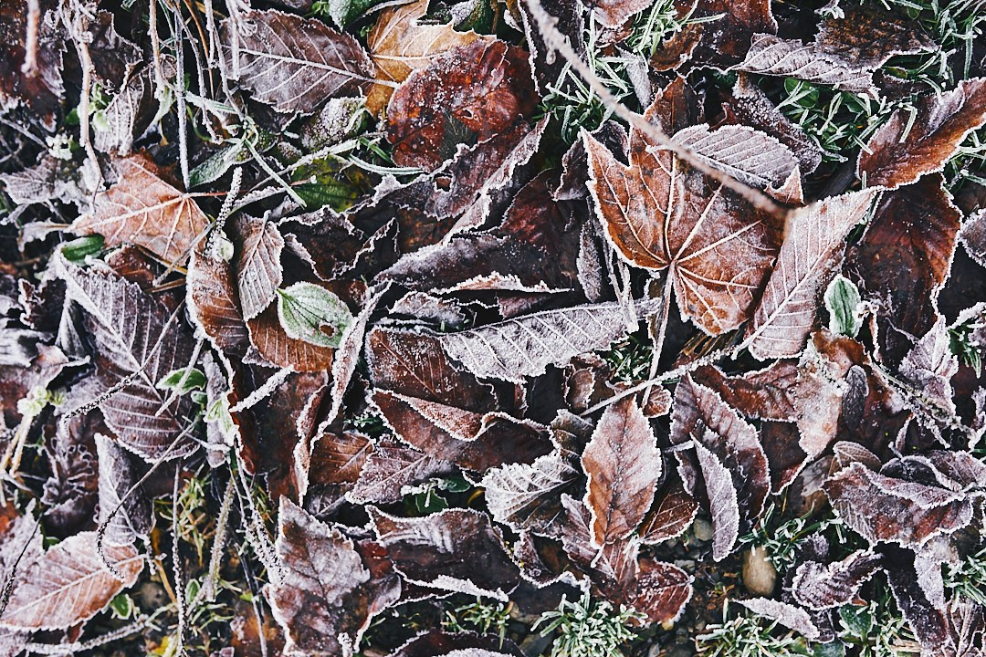 Фотографии с похода на водопад Поликария. Фотограф в Сочи Катя Гончарова