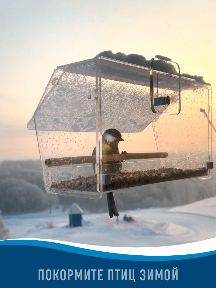 СИМПЛ. Кормушки для птиц на окно Чирик-Чирик