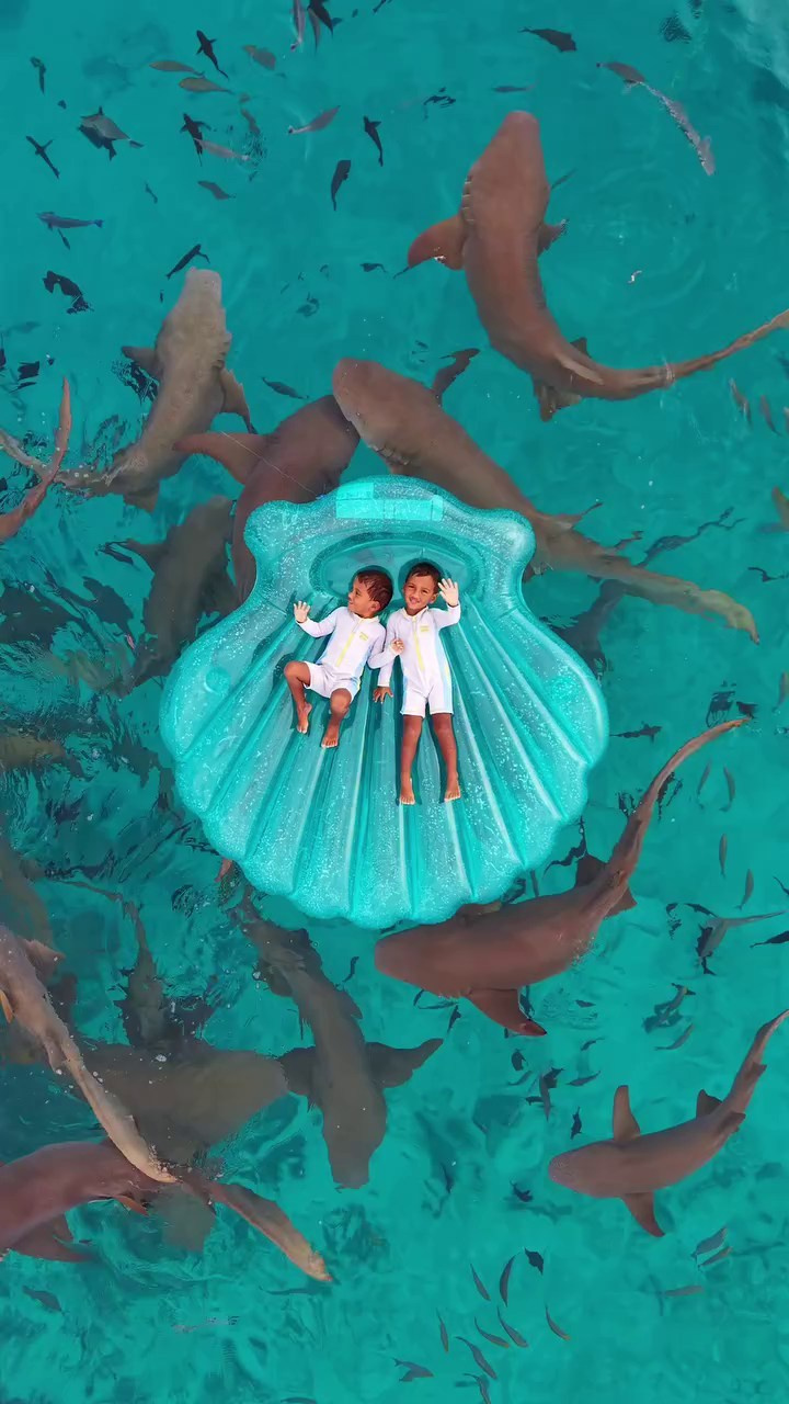 Stories from ALGA’s Maldives Tours