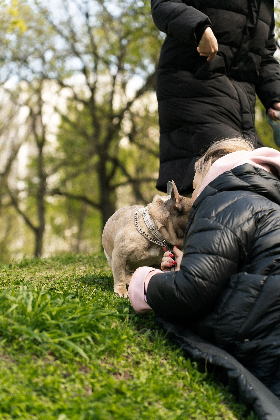 Парад Бульдогов. Axenov_eugene