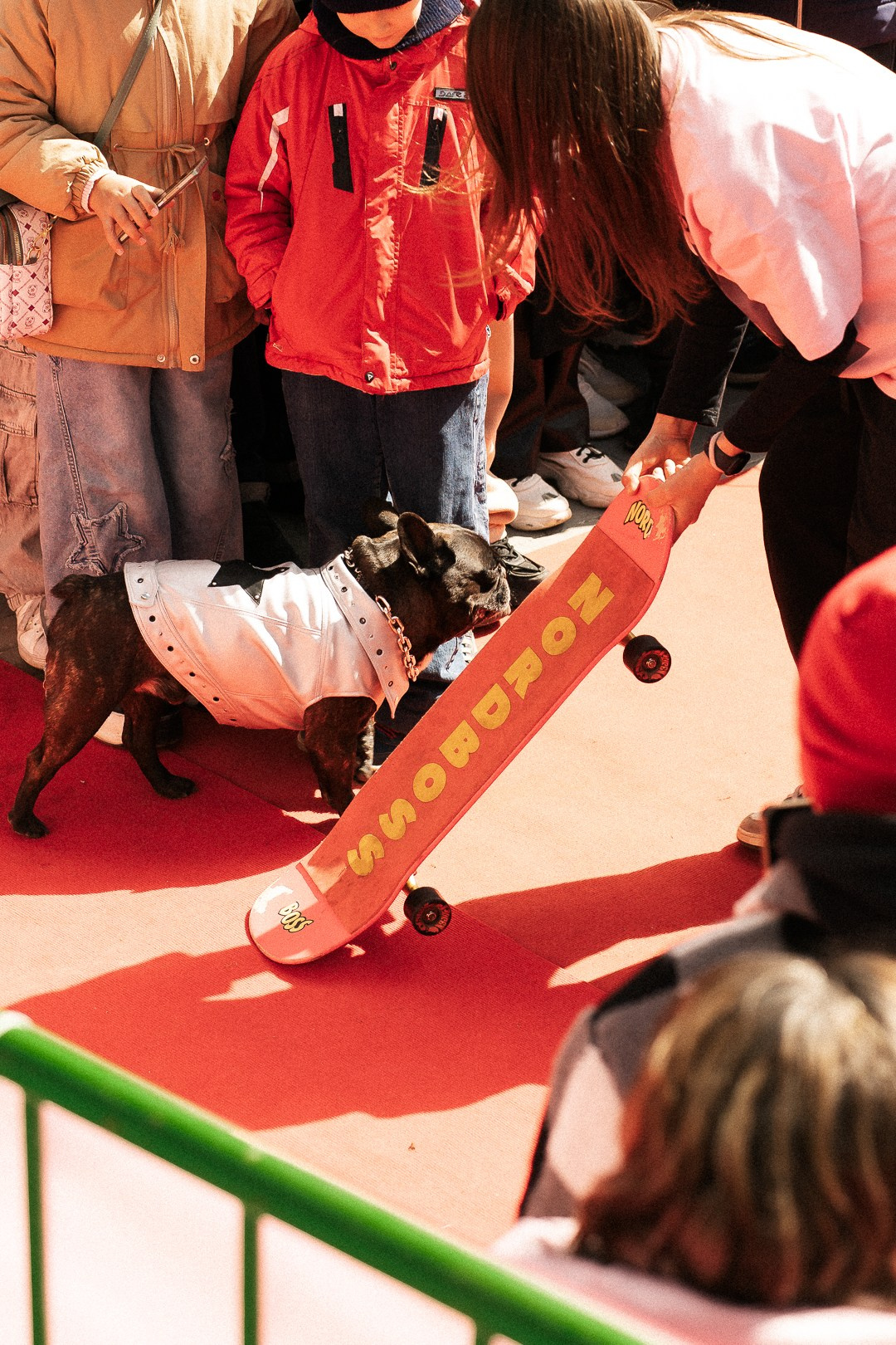 Парад Бульдогов. Axenov_eugene