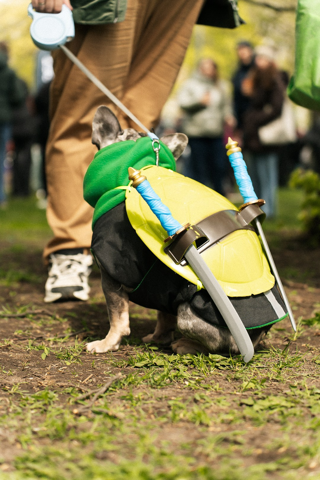 Парад Бульдогов. Axenov_eugene