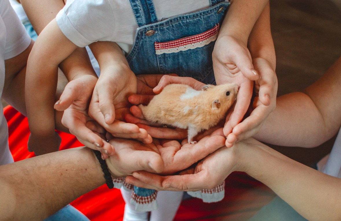 НОВОГОДНИЕ. Фотограф крещений, семейный фотограф Приходько Ксения