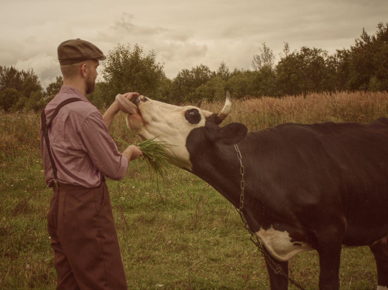 Фотограф Ростов Великий, портретный фотограф Ростов Великий, фотосессия в Ростове великом, детский фотограф Ростов Великий, фотосессия в лесу. корова. общение с животными, природа
