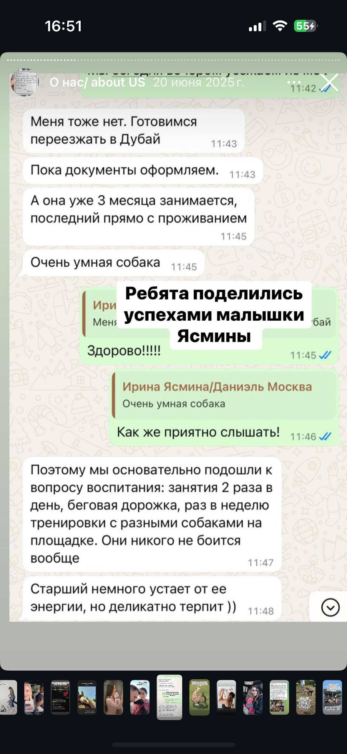 Отзывы от наших любимых владельцев. Профессиональный питомник левреток РКФ/FCI ASTI SAPPHIRE 💎 Сочи|Санкт-Петербург