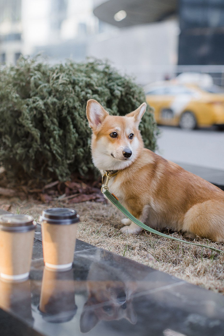 Ангелина и Николай
