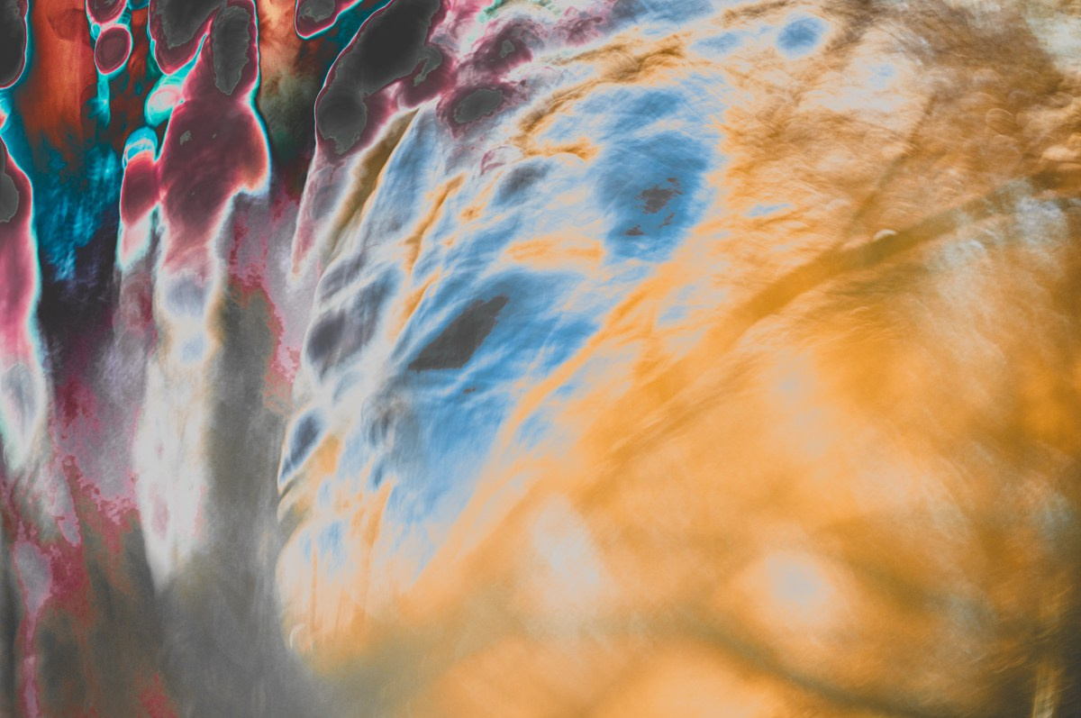 Magic forest. ПЕТР ПОПОВ | VISUAL ARTIST