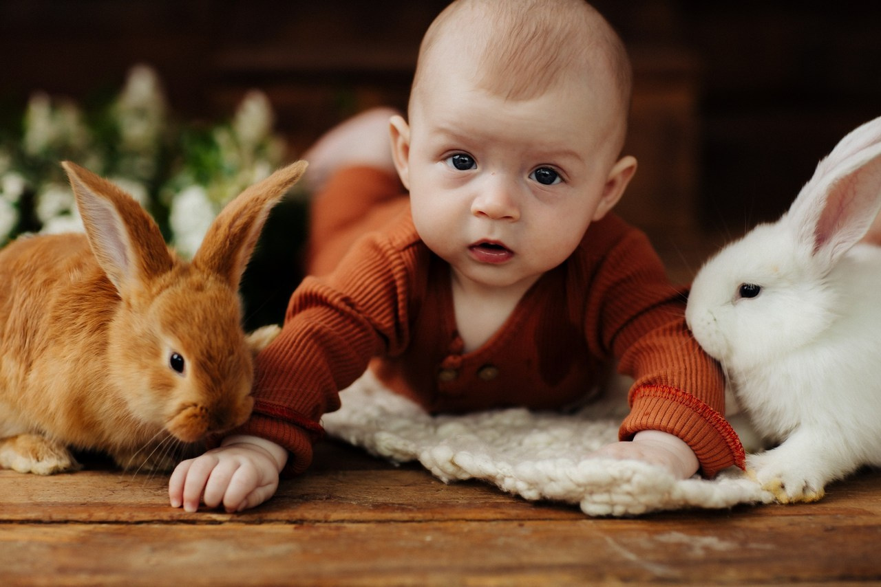 Отзывы. Фотограф новорожденных и семей Туапсе Краснодарский край Анна Альтман