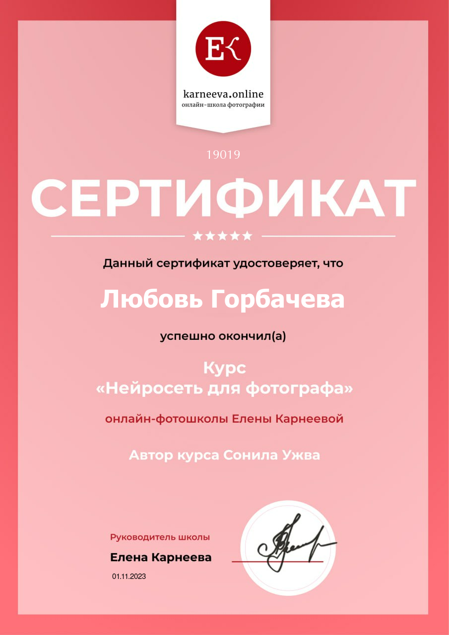 Мои дипломы. Детский и семейный фотограф в Ульяновске Любовь Горбачева