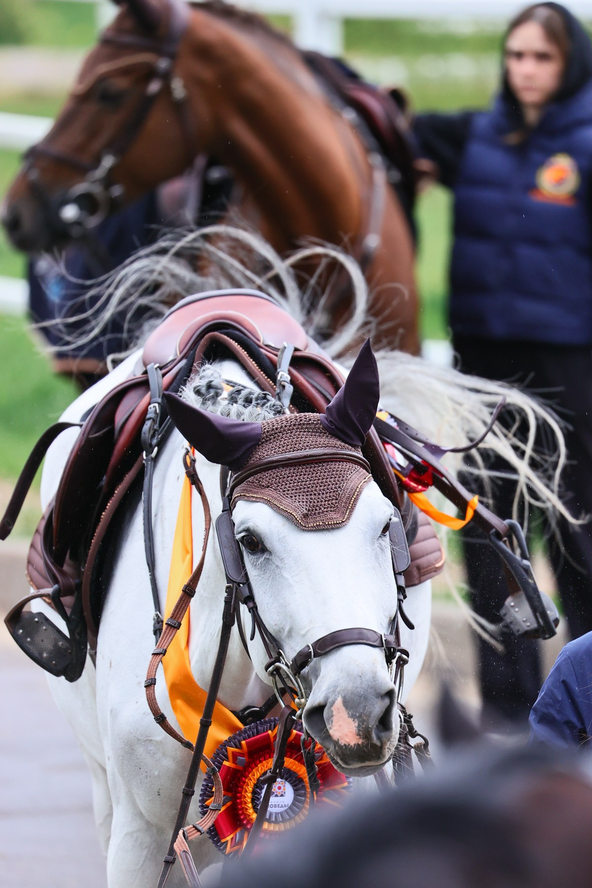Спорт. KatymartArt — Equine photography