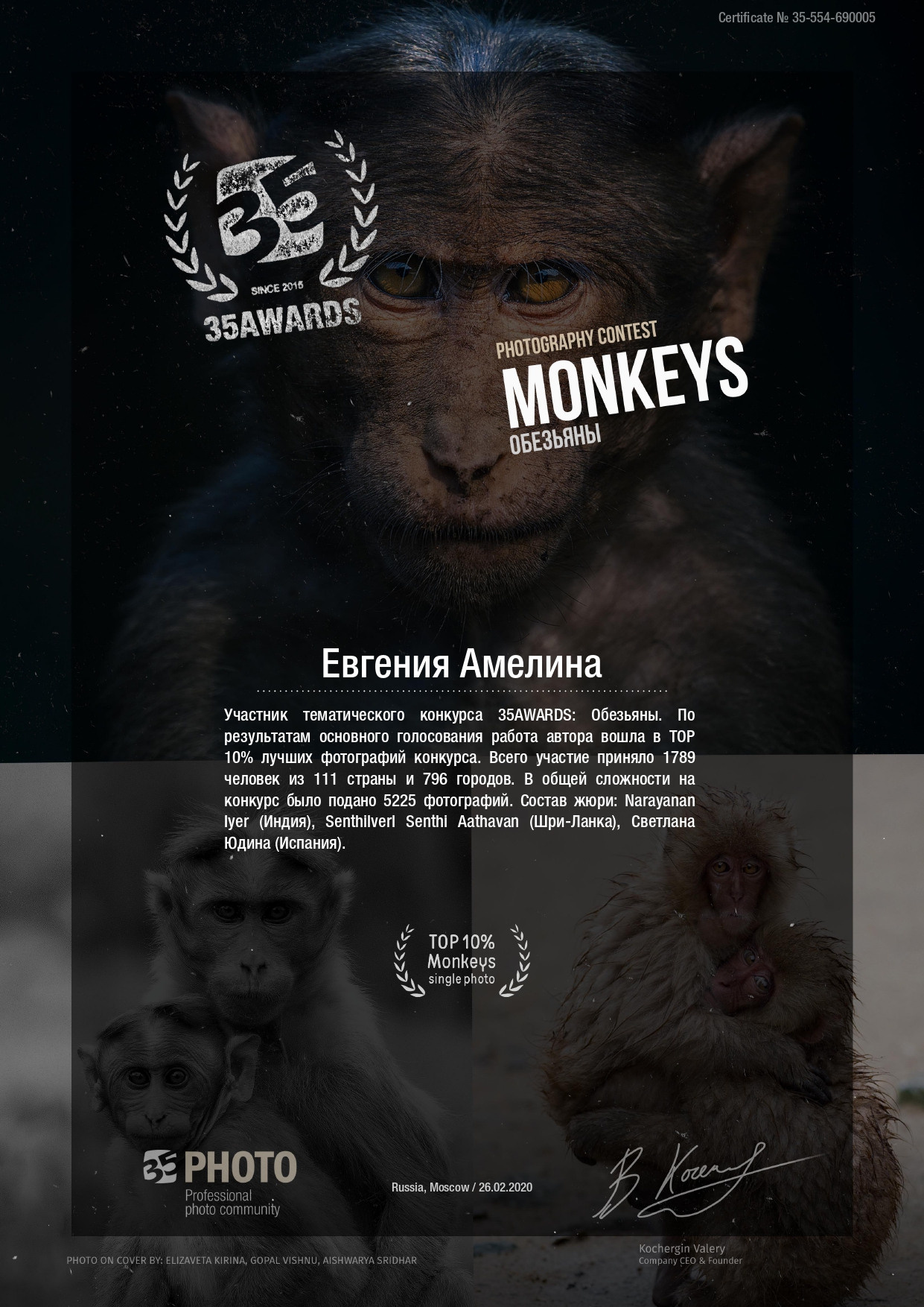 Достижения. Свадебный и семейный фотограф в Москве и Европе Евгения Амелина