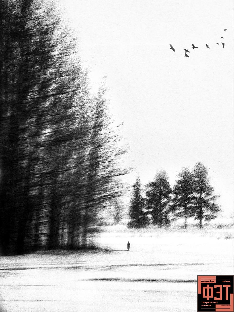 Фотопроект «ФЭТ: Фотография, Эстетика, Творчество»