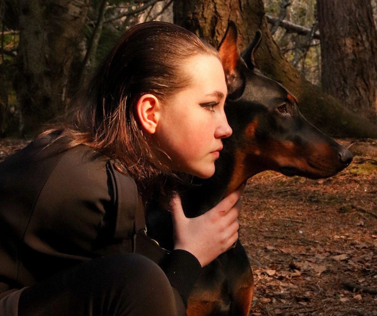 Доберман. Фотограф Сахалин|Лиза