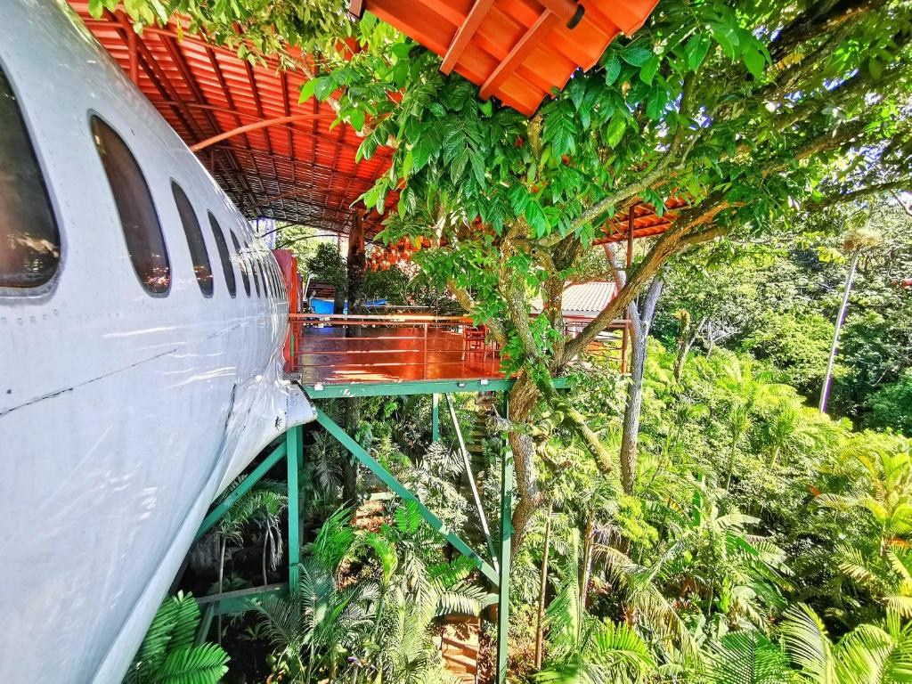 Hotel Costa Verde, Коста-Рика от 130 долларов. Фотограф для маркетплейсов Михаил Бове