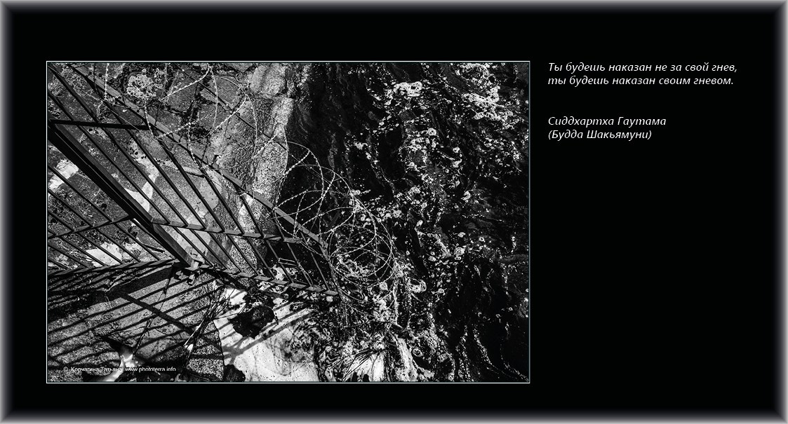 Совет дня — ориентир. Татьяна Корчагина. Фотограф, художник. Обучение фотографии