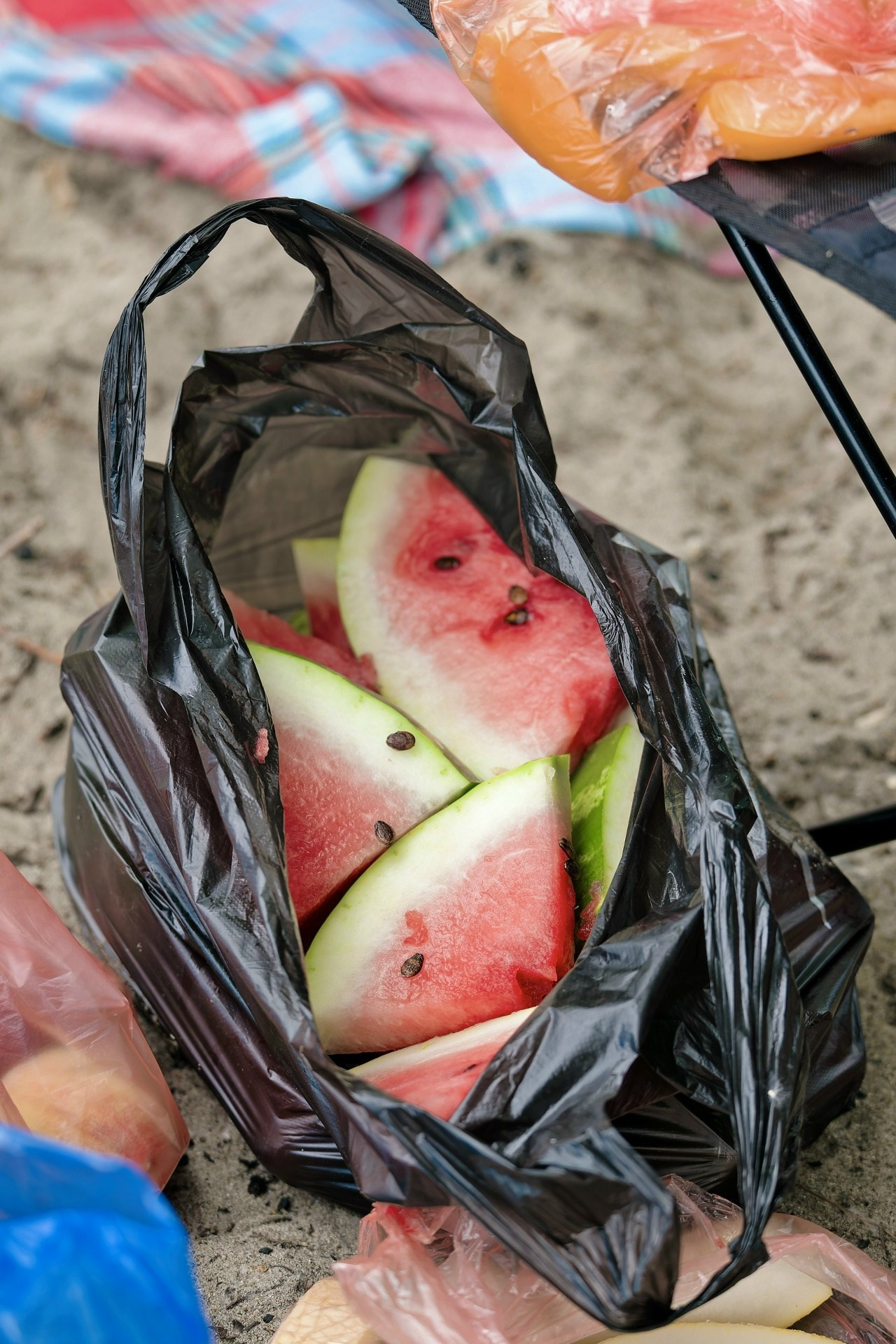 ПВД: Коса-Бонита (87 км). Новосибирское велосообщество #Навигаторовнаедет