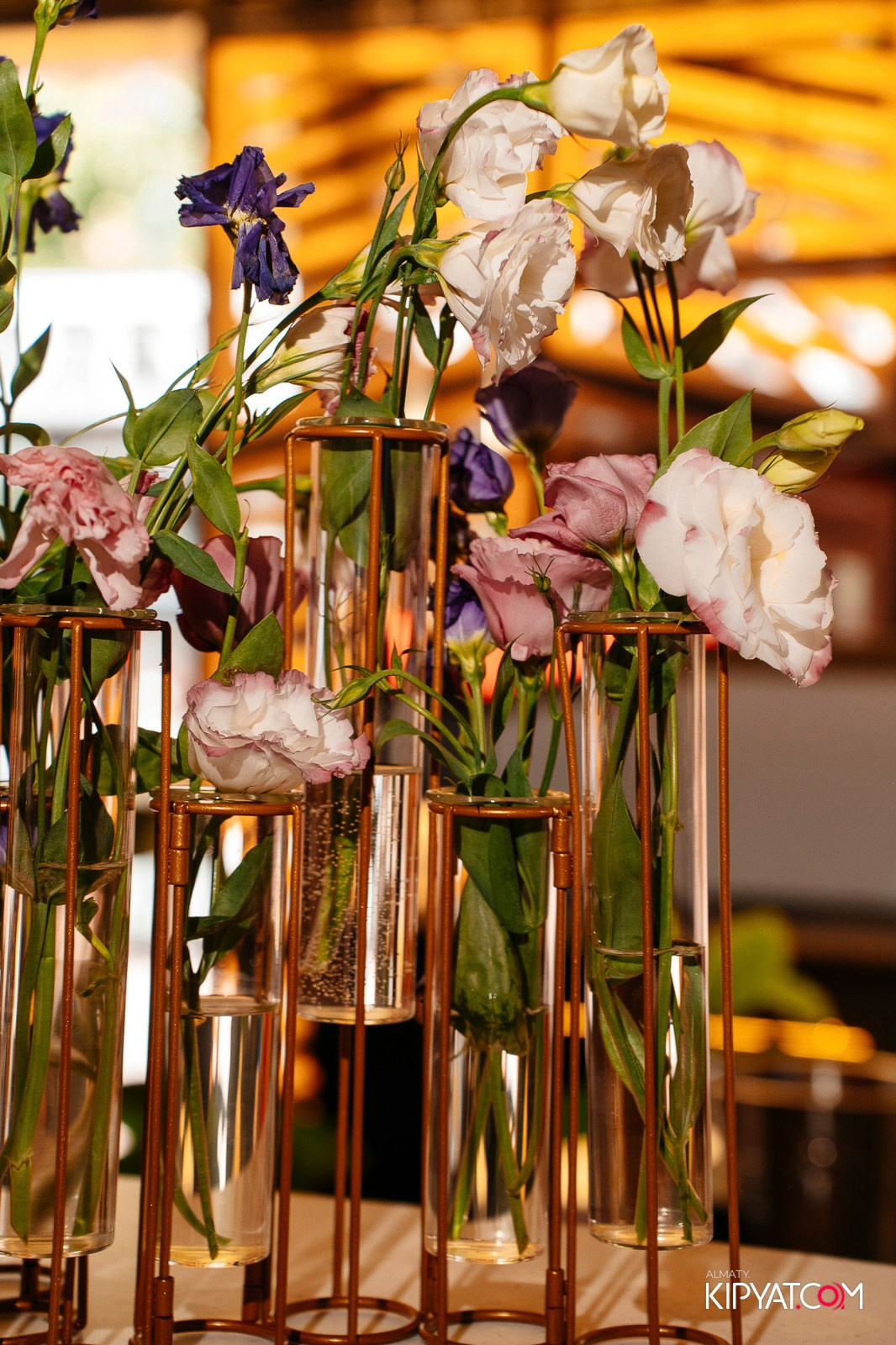 АРБУЗНАЯ ВЕЧЕРИНКА В FORT VERNYI. КИПЯТКОМ АЛМАТЫ!