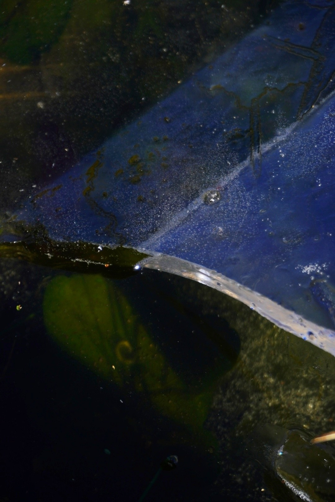 Природа. Настасья Проценко. Фотограф