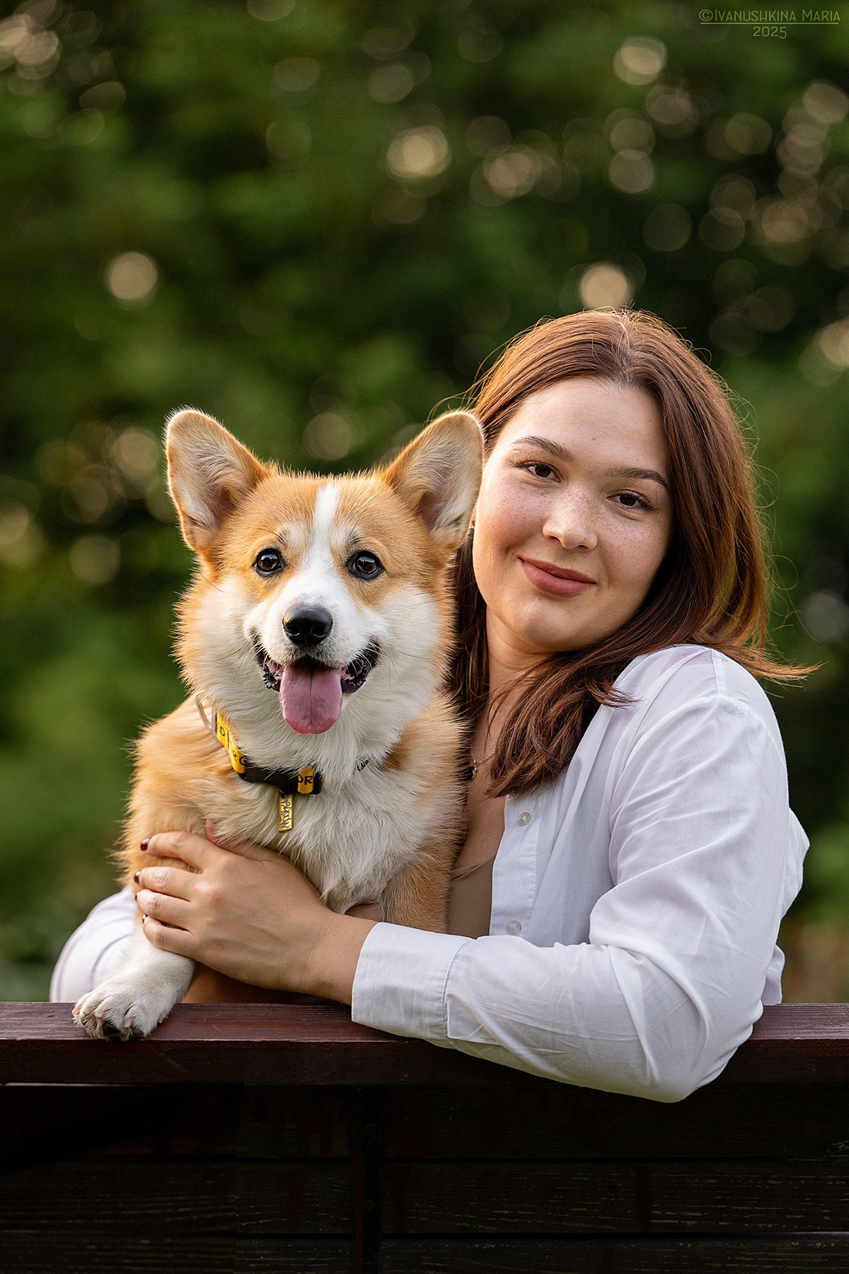 Фотосессия с собакой. Фотограф собак в Москве и Московской области Иванушкина Мария