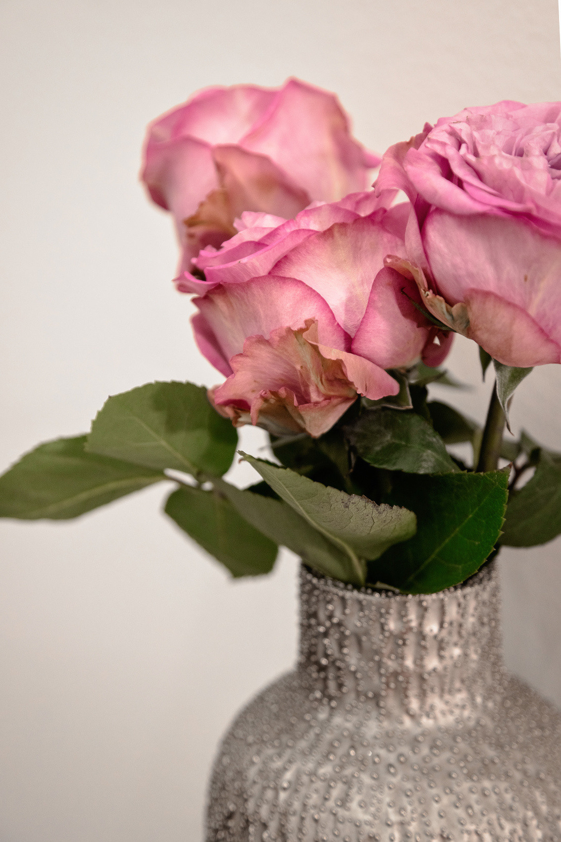 КОРПОРАТИВНЫЕ- Студия декора Гердаян. Фотостудия во Всеволожске. Подходит для всех творческих проектов