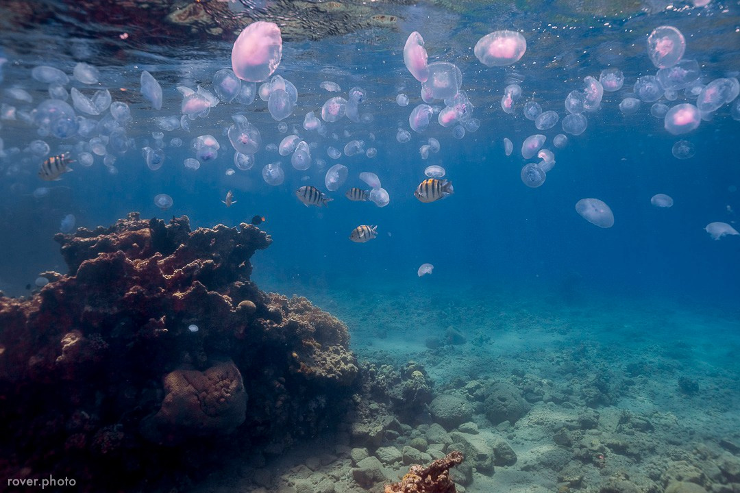 ЯХТЫ / МОРЕ / ПУТЕШЕСТВИЯ. Сложная съёмка для бизнеса b2b / Яхтенный фотограф / Корпоративные календари / Промышленная съёмка / Спортивный репортаж