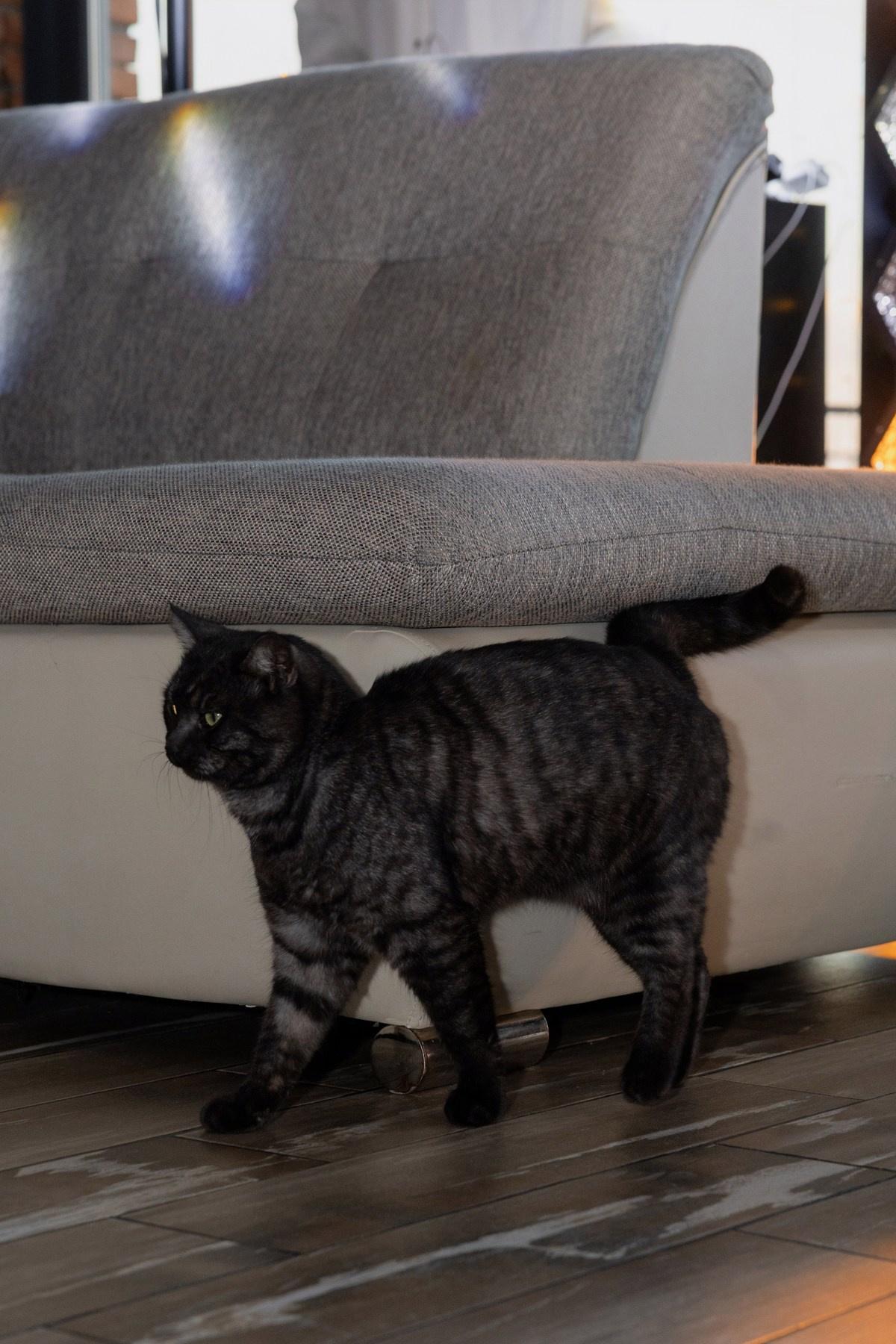 МЫ ЖЕНАТЫ. Свадебный фотограф Верещак Сергей I Ростов-на-Дону