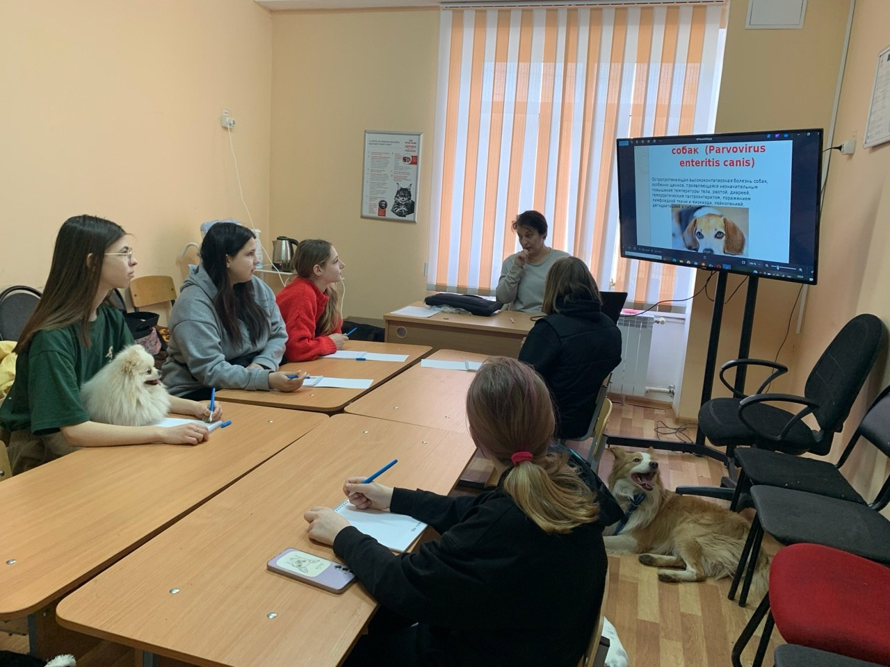 Практические занятия по дрессировке. НРОО КЦ "Собаковод"