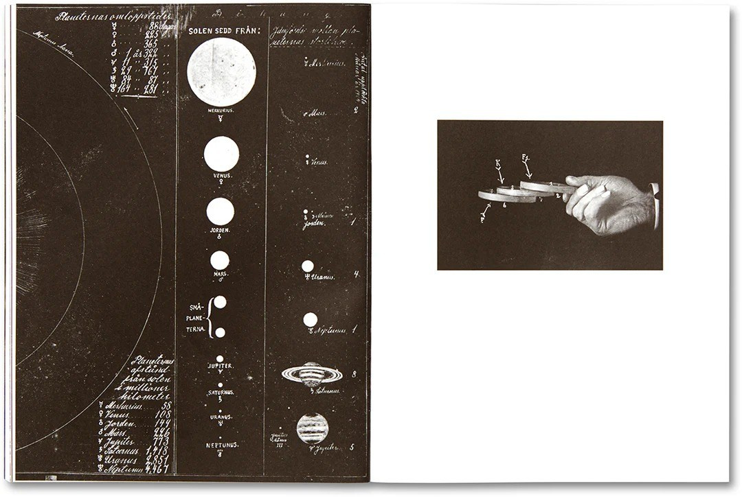 ИНТЕРВЬЮ С АВТОРАМИ: Maja Daniels. Самоорганизация Низина