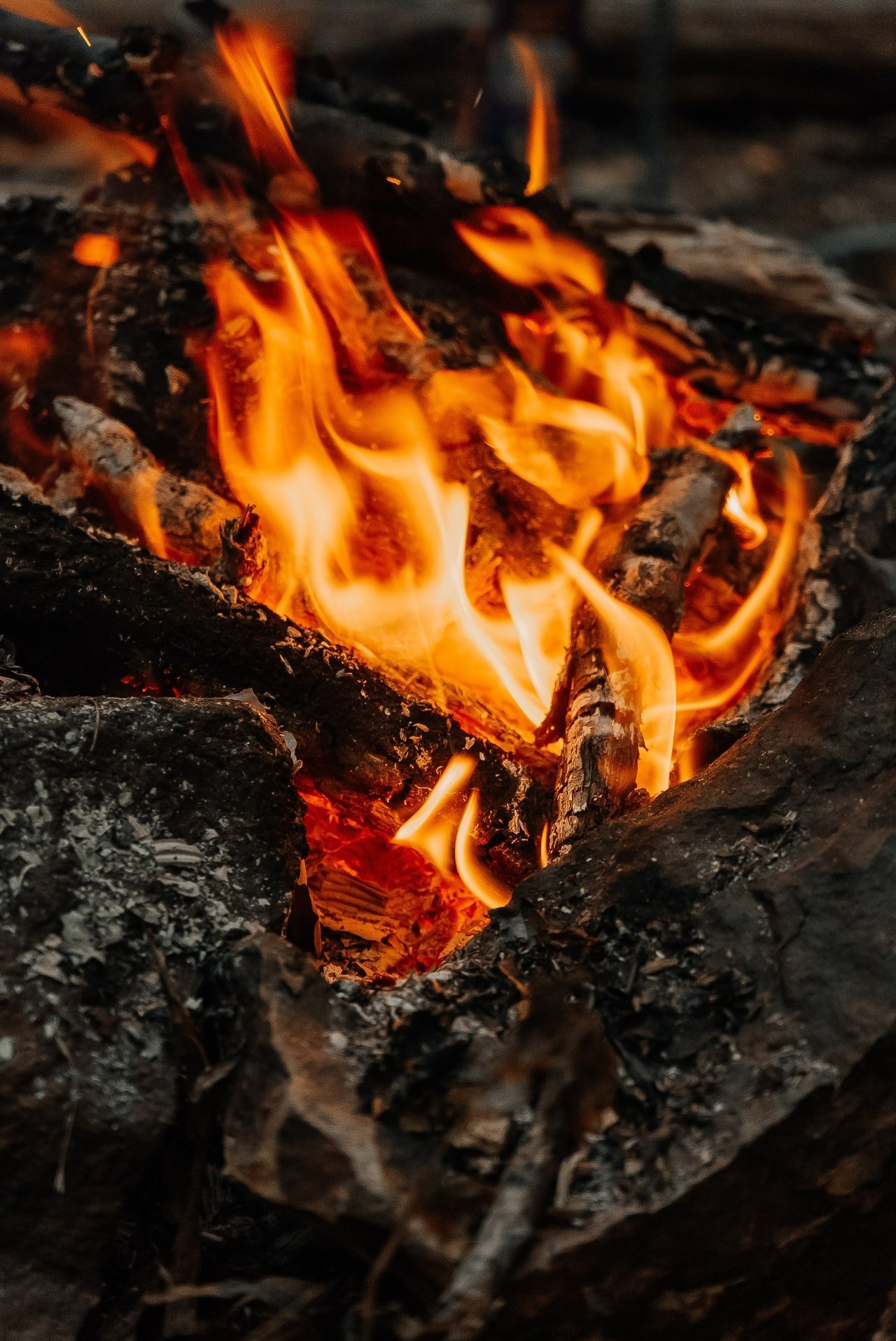 Отзывы. Свадебный и семейный фотограф во Владивостоке Александра Глускер