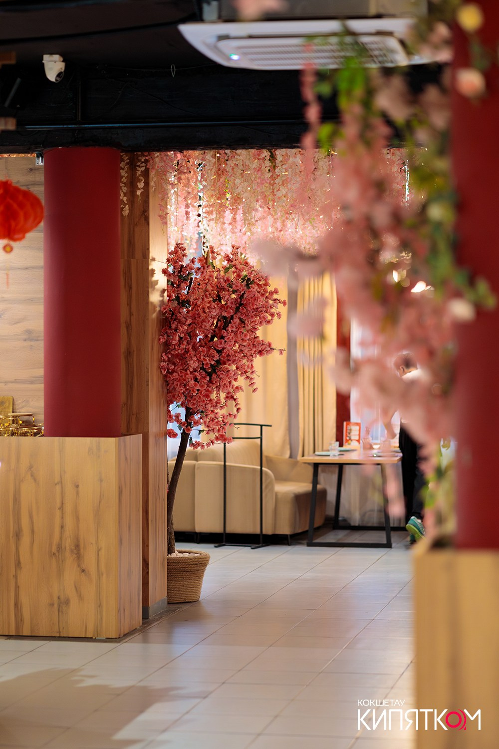 HANAMI. КИПЯТКОМ КОКШЕТАУ