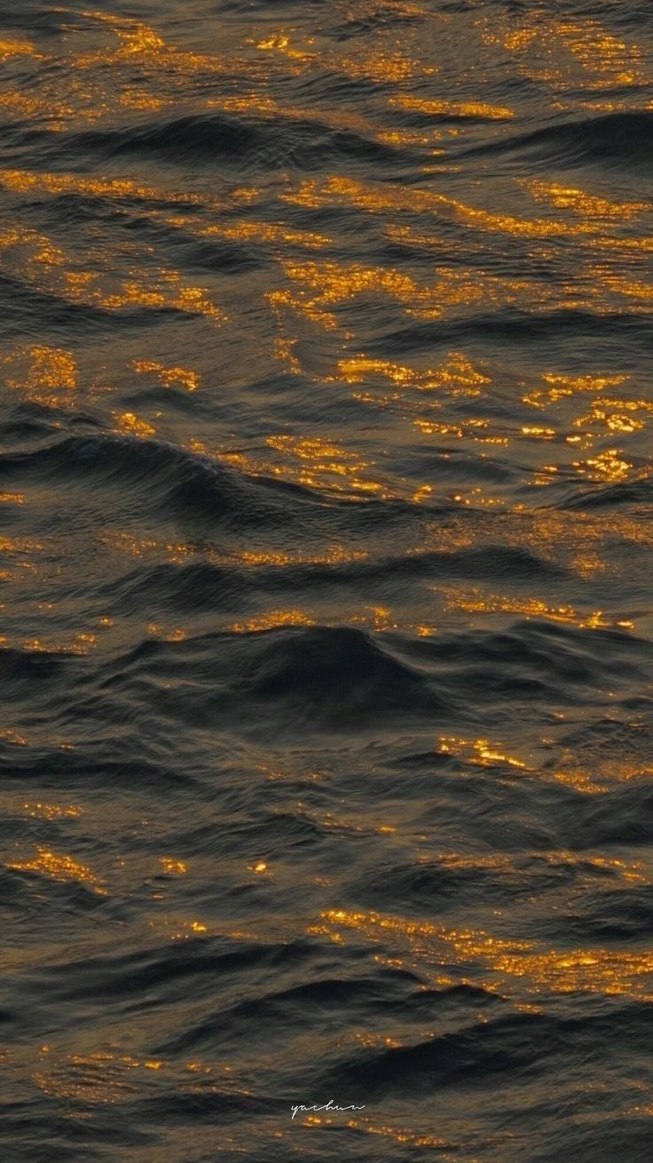 Игра. подсказки. природа. Софья Даниленко SMM агентство для экспертов, личных брендов и бизнесов