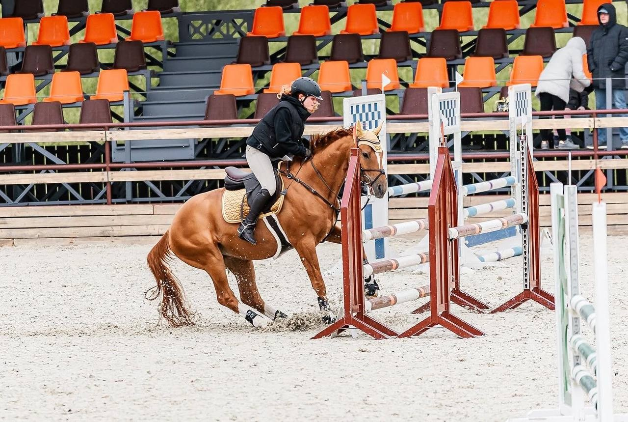 Открытый Кубок КСК «Дивный» по конкуру. Конный фотограф Куракина Дарья • Фотосессии с лошадьми