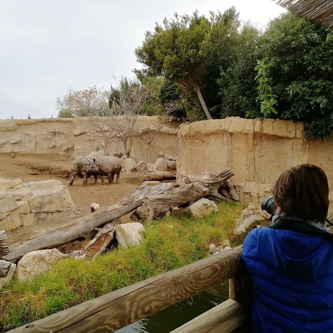 Anka`s Instagram. Заставка